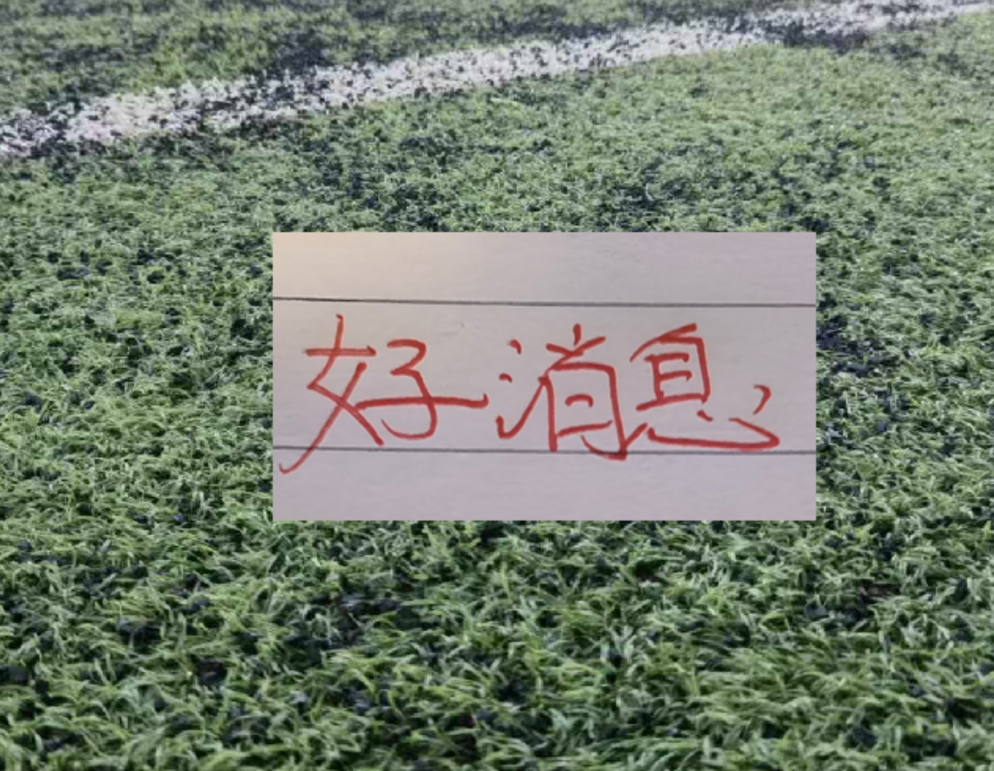 世体：世界杯18决赛西葡战，巴萨体育总监德科现场观战